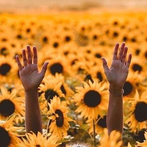 Meet your Posher, Maxine